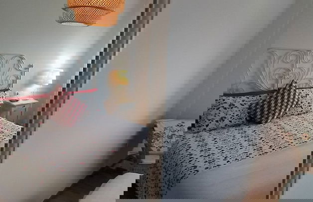 Caracol "trail Mountain La Palma" - Junto a Trébol - Foto 6