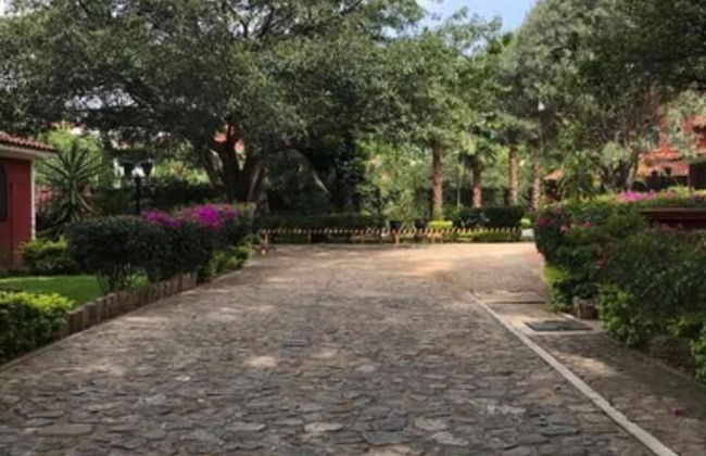 Bungalows La Huerta - Foto 36