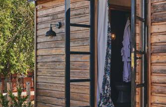 Curious Calf - Foto 20