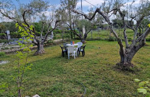 Dream in Chalkidiki 2 bedroom villa with garden - Foto 49