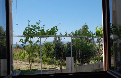Garden house - Foto 17