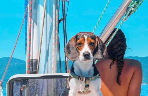 Experiência a bordo em Angra - Foto 14