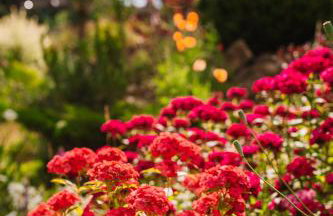 Apartamenty na Pastwisku - Foto 72