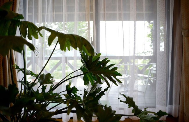 Kawaguchiko country cottage Ban - Photo 32