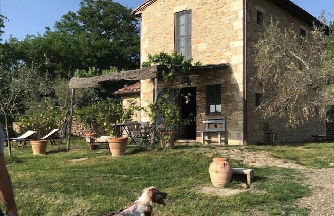 Podere Spedalone - Photo 17