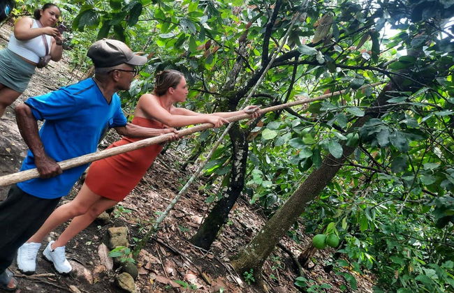 Puerto Plata Cacao Tour - Photo 6