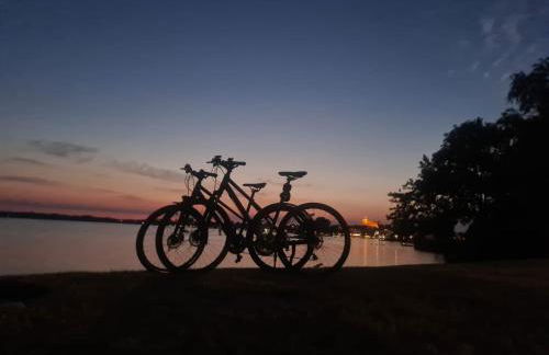 Ferienhaus am Rande des Müritz-Nationalparks - Foto 13