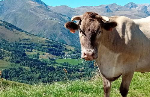 2 pièces cosy Saint-Lary- Vielle Aure - Foto 30