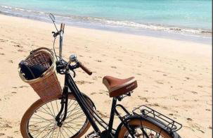 Naay Villas - Flat Beira Mar - Sao Miguel dos Milagres - Foto 26