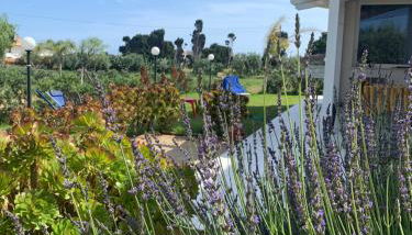 Villa Tra Mare e Ulivi - Foto 2, Garden