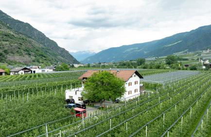 Bauernhof Sackgut - Foto 21