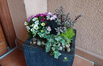 Gemütliche Ferienwohnung am Ortsrand - Foto 5