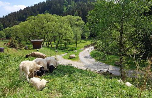 Ferienwohnung "Haus Sonnenblick" - Foto 2