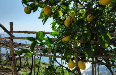 Villa Don Luigi - Foto 12