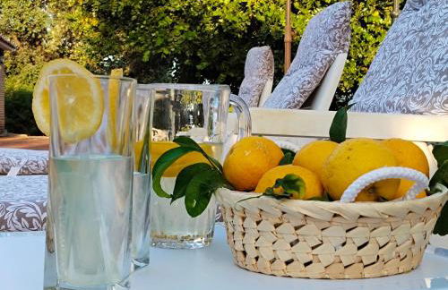 Los Tréboles - Foto 16