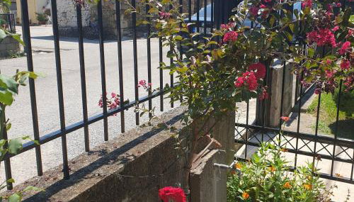 Villa Anna - Foto 2, Garden