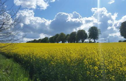 Lütt Verbliev - Foto 24
