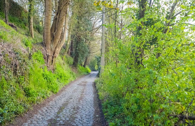 Picturesque Villa With Swimming Pool - Foto 39