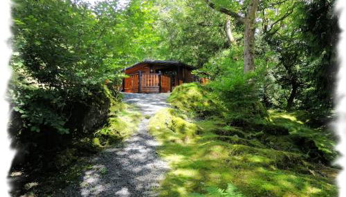 Blelham Tarn Rustic cabin in tranquil woodland - Foto 5, Garden