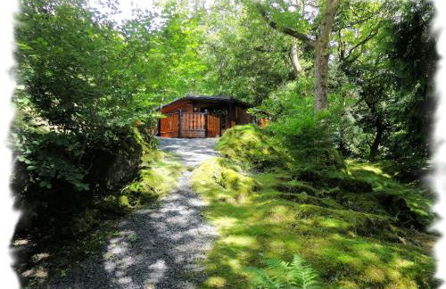 Blelham Tarn Rustic cabin in tranquil woodland - Foto 5