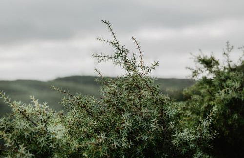 Vila Caelus Masia Boutique - Foto 69