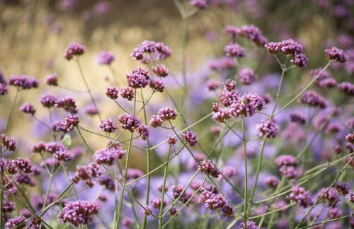 Park House Hotel - Foto 59