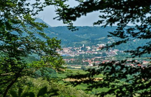 Beautiful Home In Leskovec Toplicki - Foto 43