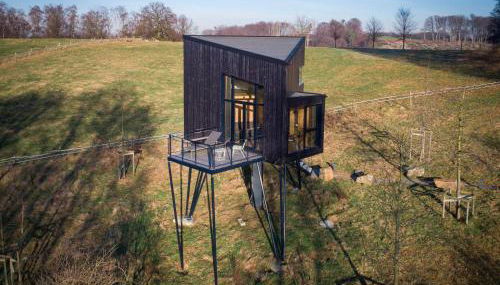 Treeangle - K1 Baumhaus - Foto 4