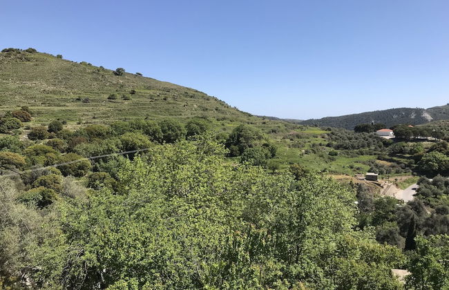 Temenia House - Foto 15