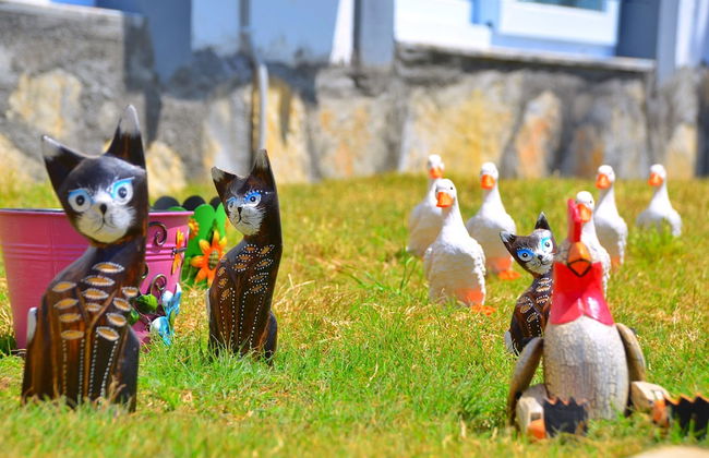 Fame Apart Kas - Foto 62