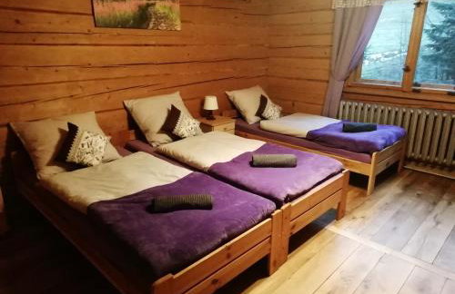 Leśniczówka Przysietnica - Foto 12