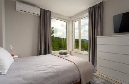 Modern villa Venta with jacuzzi and pool in Buje - Foto 26