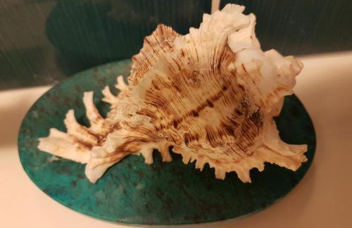 Maligueira Apartment - Photo 25