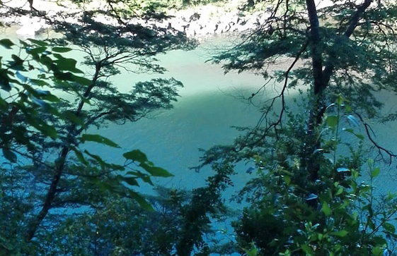 Cabaña Rústica 2 Maravillosa,con Troncos Nativos, con Orilla de Río Trancura - Foto 27