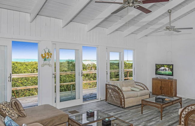 Palmetto Palms - Foto 8