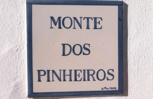Villa Monte dos Pinheiros - Photo 27