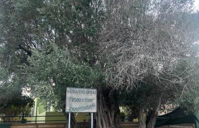 The White House - Aianteio - Foto 57