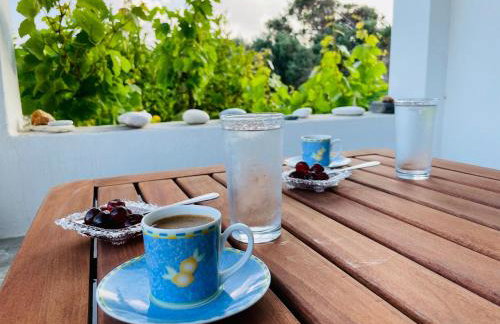 Anevalousa Beach House - Foto 65