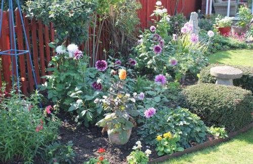 The Garden Room Westcott - Foto 11