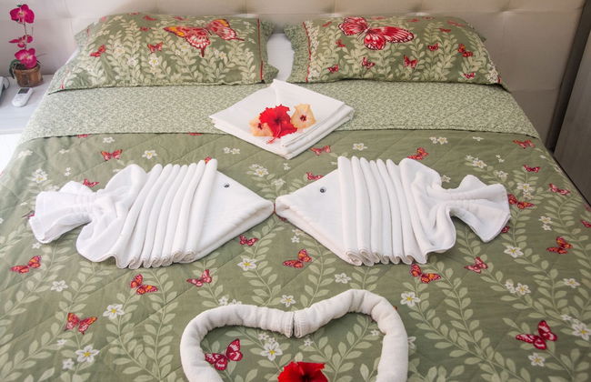 Flat Pipa Oceano - Foto 12