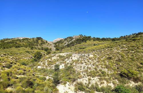 Casas y Cuevas El Solins - Foto 9