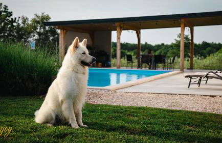 Apartment ENJOY BLUE, with pool & pets welcome - Foto 41