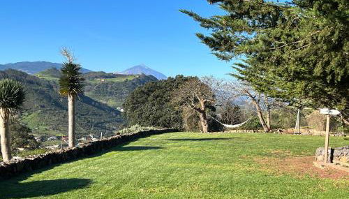 Finca el Roque - Foto 3, Garden, Garden view
