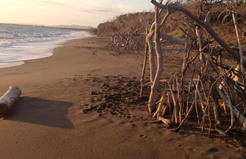 MORF - soulful suites - Foto 89