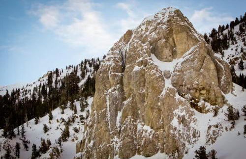 La Residence 8 - Foto 31