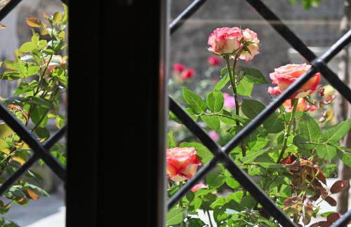 Ιkia Zmas - Foto 41