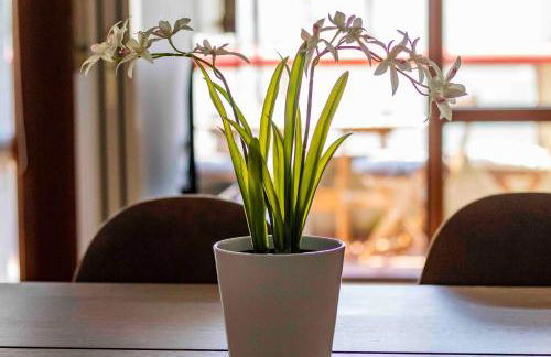 Bright House - Carozzi Apartments - Photo 31