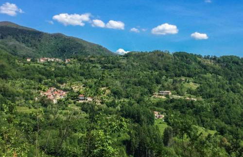 Holiday Home in Mulazzo With Natural Pond - Foto 52