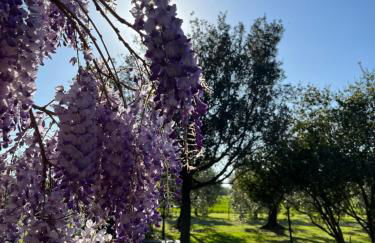 Agriturismo Valdo - Foto 47