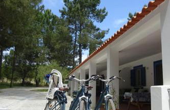 Quinta da Alentegria - 4 cottages met lounge en verwarmd zwembad van april tot eind september! - Photo 4